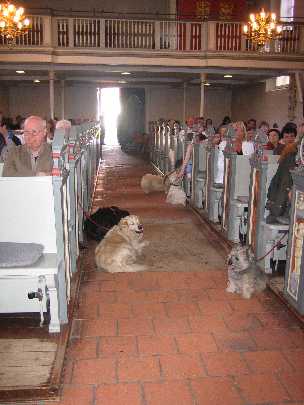 Tiergottesdienst April 2008